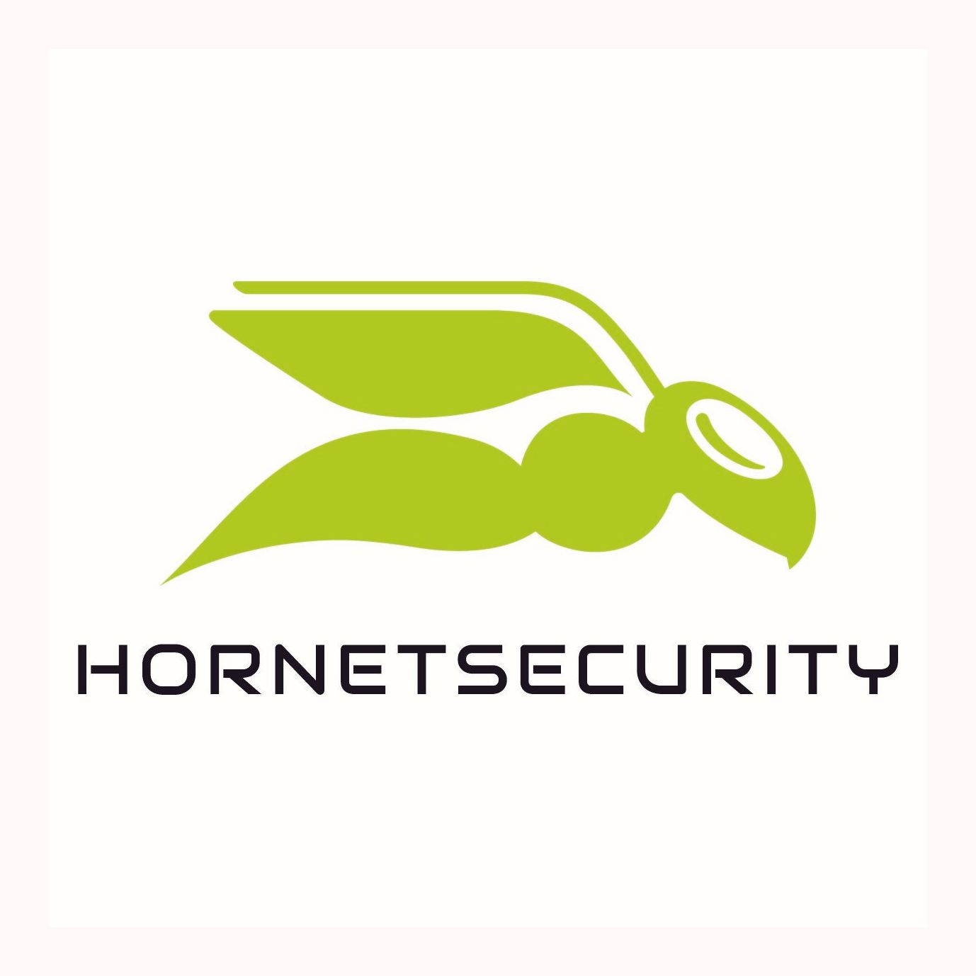 Hornetsecurity Overview – 365 Total Protection